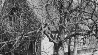 Rijksdienst voor het Cultureel Erfgoed: Bouma, S.J.