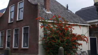 WikiMedia