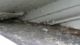 Rijksdienst voor het Cultureel Erfgoed: Bogers, Guido