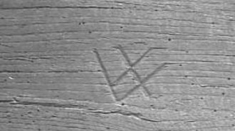 Rijksdienst voor het Cultureel Erfgoed: Ramaekers, F.