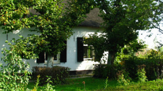 WikiMedia