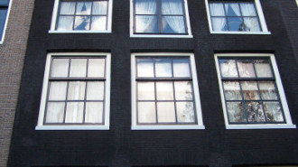 WikiMedia