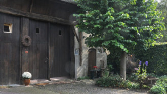 WikiMedia