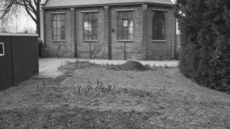 Rijksdienst voor het Cultureel Erfgoed: Tangel, L.M.