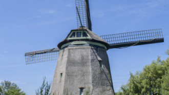 WikiMedia
