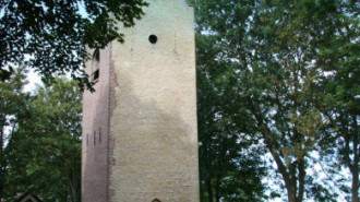 WikiMedia
