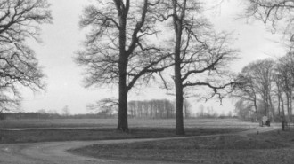 Rijksdienst voor het Cultureel Erfgoed: Delemarre, G.Th.