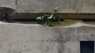 Rijksdienst voor het Cultureel Erfgoed: Galen, P. van