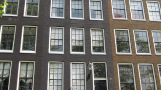 WikiMedia