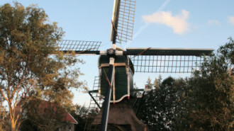 WikiMedia
