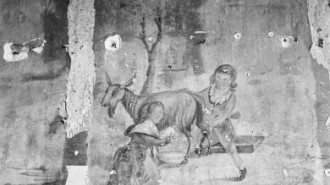 Rijksdienst voor het Cultureel Erfgoed: Wal, A.J. van der