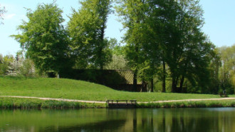 WikiMedia
