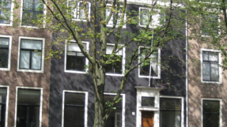 WikiMedia