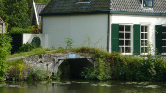 WikiMedia