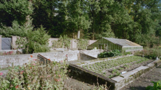 Rijksdienst voor het Cultureel Erfgoed: Heins, IJ.Th.