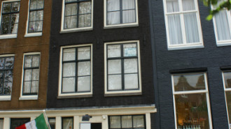 WikiMedia
