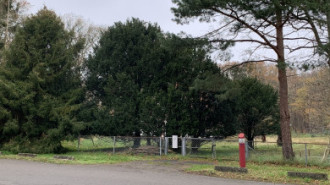 Rijksdienst voor het Cultureel Erfgoed: Bogers, Guido