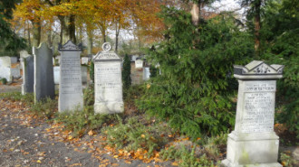 WikiMedia