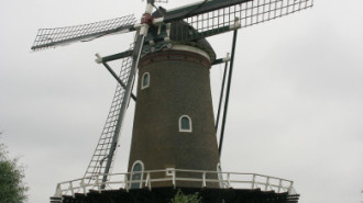 WikiMedia
