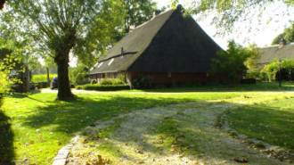 WikiMedia