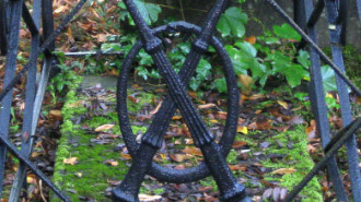 WikiMedia
