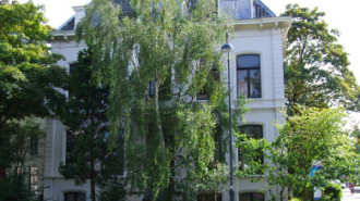 WikiMedia