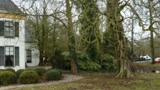 Rijksdienst voor het Cultureel Erfgoed: Brinkkemper, O. (Otto)