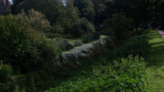 WikiMedia