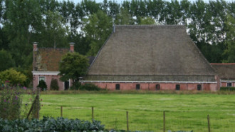 WikiMedia