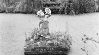 Rijksdienst voor het Cultureel Erfgoed: Wal, A.J. van der