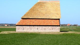 WikiMedia