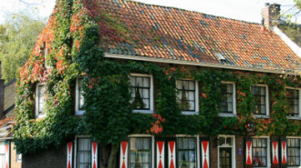 WikiMedia