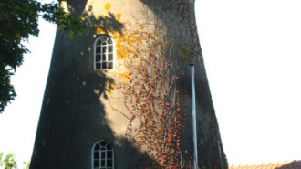 WikiMedia