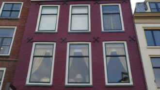 WikiMedia