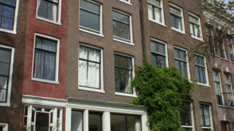 WikiMedia