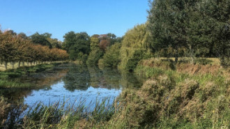 Rijksdienst voor het Cultureel Erfgoed: Brinkkemper, O. (Otto)