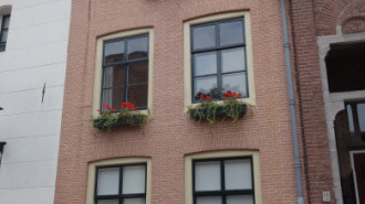 WikiMedia