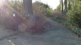 Rijksdienst voor het Cultureel Erfgoed: Bogers, Guido