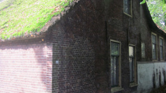 WikiMedia