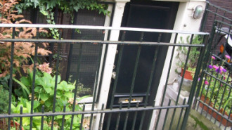 WikiMedia