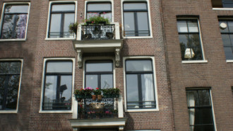 WikiMedia