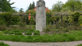 WikiMedia