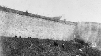 Rijksdienst voor het Cultureel Erfgoed