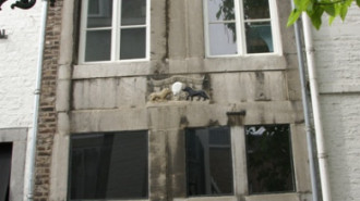 WikiMedia
