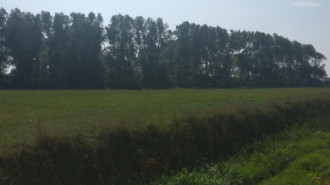 WikiMedia