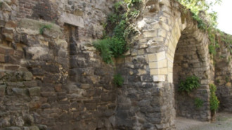 WikiMedia