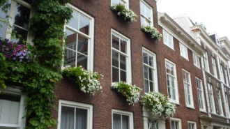 WikiMedia