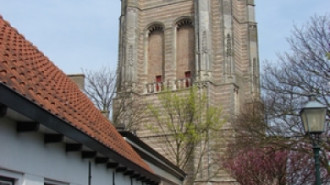WikiMedia