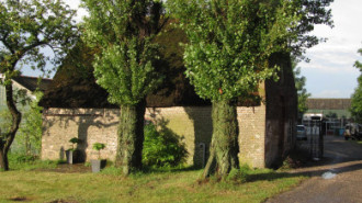 WikiMedia