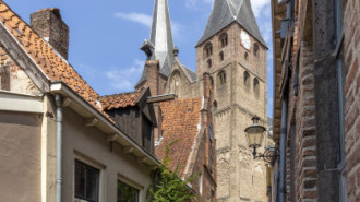 Rijksdienst voor het Cultureel Erfgoed: Schaap, Marchje